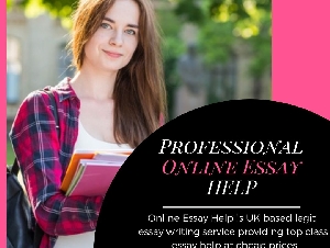 Online Essay Help