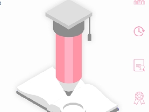 Capstone Project Writer