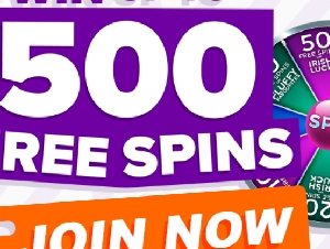 Anytime Bingo Online